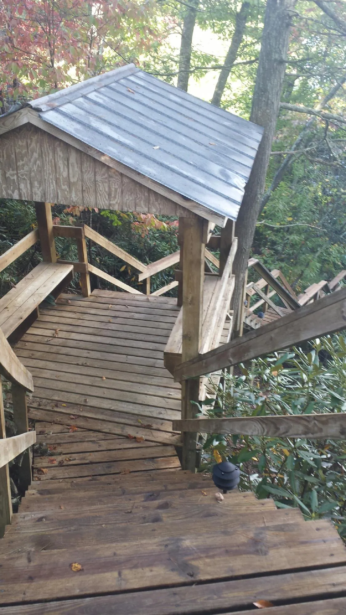 Metal roofed shelter over wooden steps on a wooded walkway — Skylight Repair & Installation work by our crew in Twain Harte