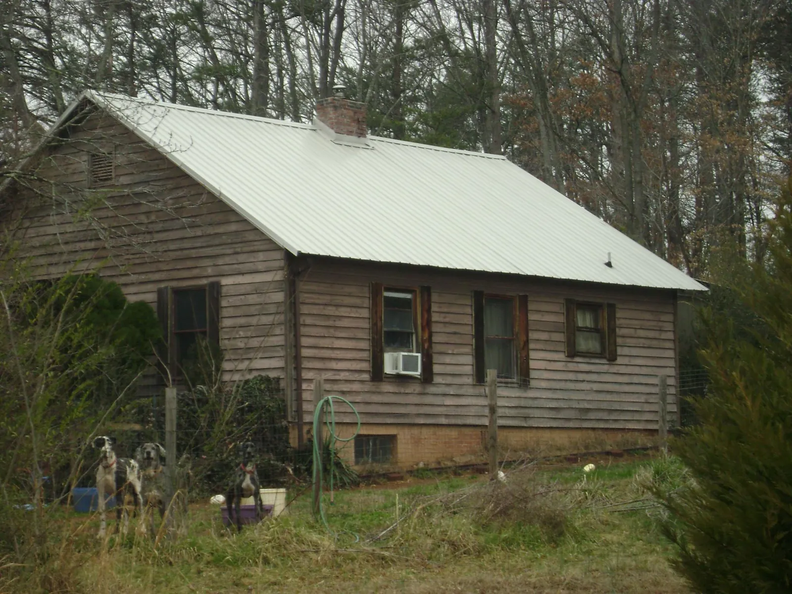 White metal roof on an old wood sided farmhouse, from a Asphalt Shingle Roof Repair job in Twain Harte